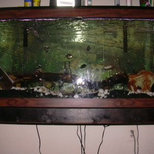 fish_tank_with_flash_on_the_bottom.JPG