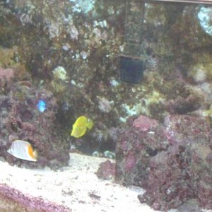 fishroom_001.jpg