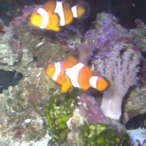 fishroom_010.jpg