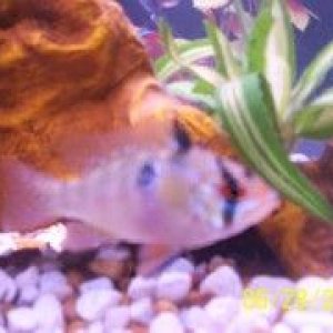 100_2824.jpg