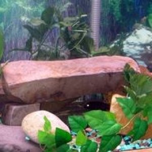 75gal3.jpg
