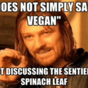 thumb_one-does-not-simply-sayttm-vegan-without-discussing-the-sentience-52700965.png