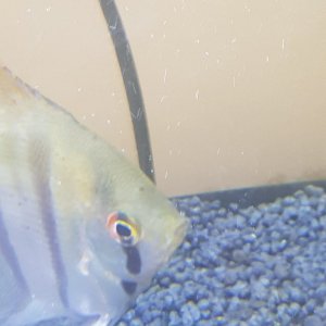 20220718_203104.jpg