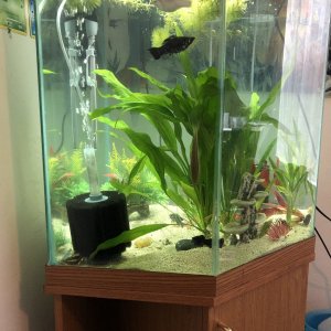 Left side tank.jpg