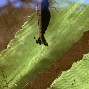 03995BCE-2EE0-4E4C-B805-FC2D09E5FB93.png