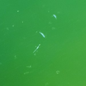 20220731_103704.jpg