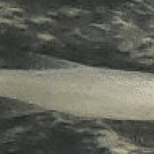 Screenshot 2022-08-02 22.47.43.png