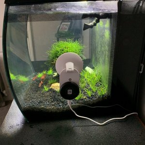 Tank Cam from outside.jpg