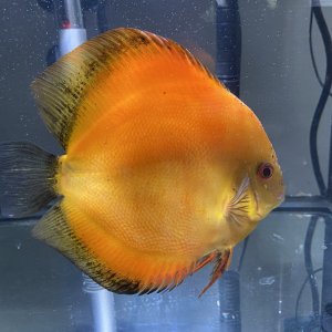 6818304F-02F0-4903-B00E-BDDCC5EE592D.jpeg