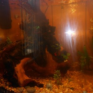 DSCN0940.JPG