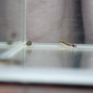 DSCF9584.JPG