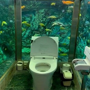 1556278079-japanese_toilet_with_aquarium.jpg