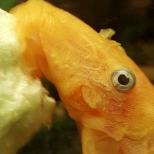 20181009_184703_wm.jpg