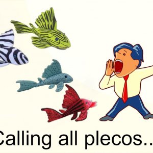 calling all plecos.jpg
