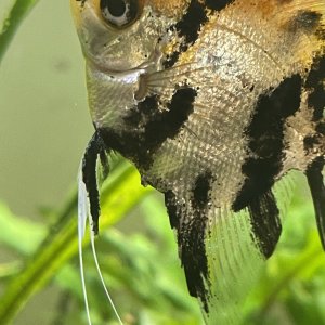 23B902BB-87C2-45DD-87E9-C79BE6F0642C.jpeg