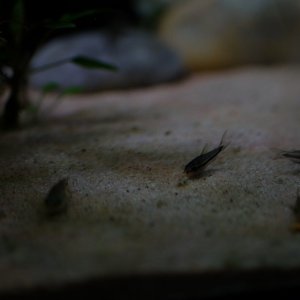 DSCF5570.JPG