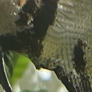 CB199E36-4476-42AA-923D-EEAD799EF0D2.jpeg