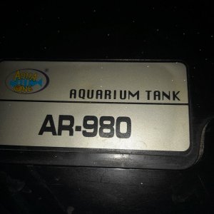 20220825_194800.jpg