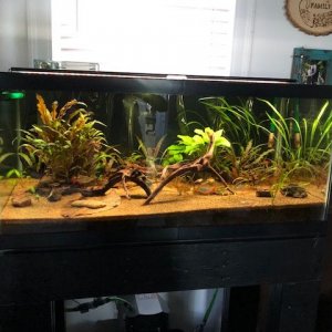 Tank 2.jpg