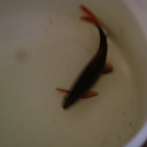 DSCF9747.JPG