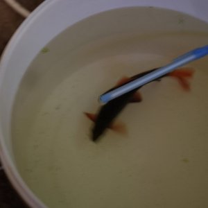 DSCF9749.JPG