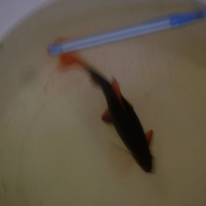 DSCF9754.JPG