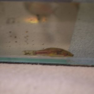 DSCF9729.JPG