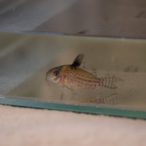 DSCF9718.JPG