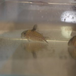DSCF9730.JPG