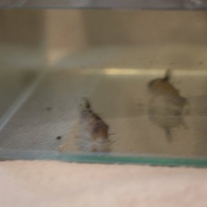 DSCF9740.JPG