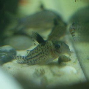 DSCF9852.JPG