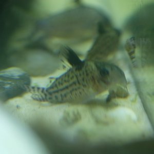 DSCF9848.JPG