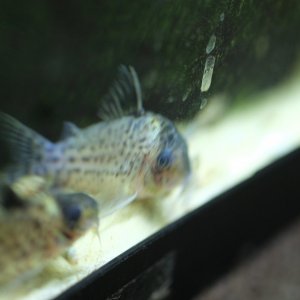 DSCF9834.JPG
