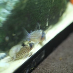 DSCF9857.JPG