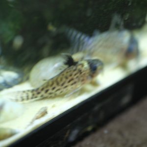 DSCF9826.JPG