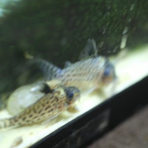 DSCF9824.JPG