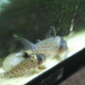 DSCF9822.JPG