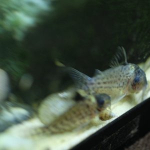 DSCF9818.JPG