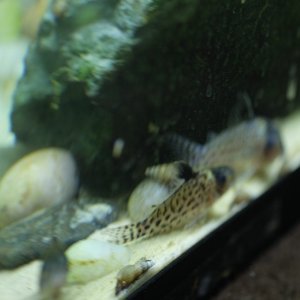 DSCF9808.JPG
