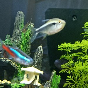 IMG_20220902_163802.jpg