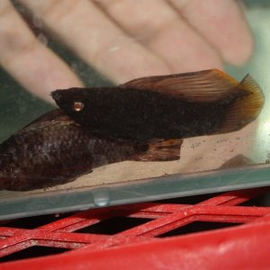 IMG_6873.JPG