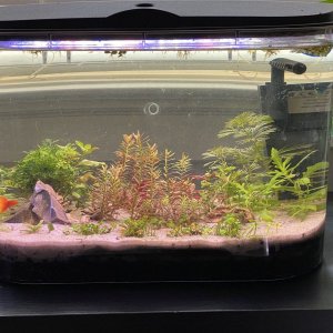 Tank 5.jpg