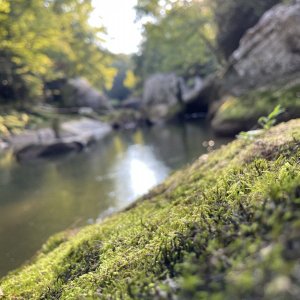 F0528D8A-15D0-4969-B25B-35613C2D69D7.jpeg