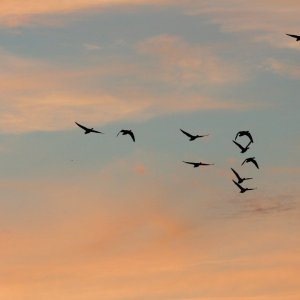 IMG_4659.jpg