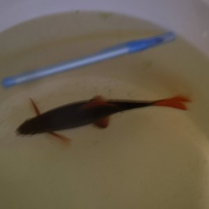 DSCF9760.JPG
