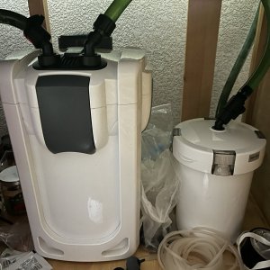 IMG_3833.JPG