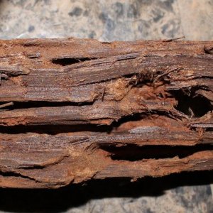 flat wood.JPG