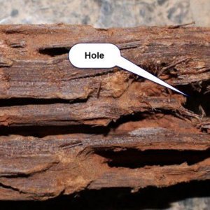 flat wood 2.jpg