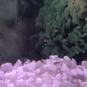 62D35B79-CE15-4716-9968-51941F3094C7.jpeg