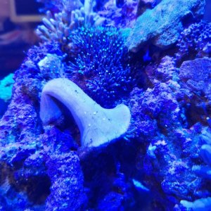 IMG_20220927_053247.jpg